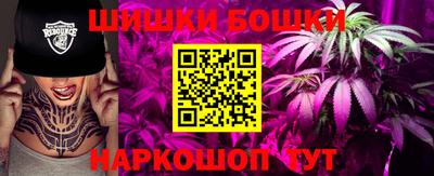 крисы Обь
