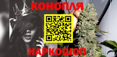 крисы Обь