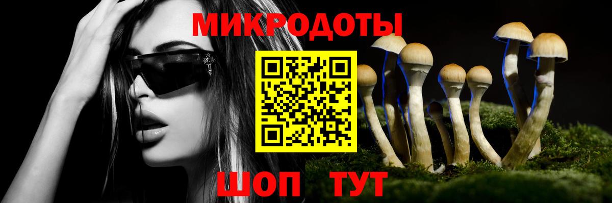 Галлюциногенные грибы Magic Shrooms  Псилоцибиновые грибы GOLDEN TEACHER  купить  цена  Строитель  Вход с VPN 