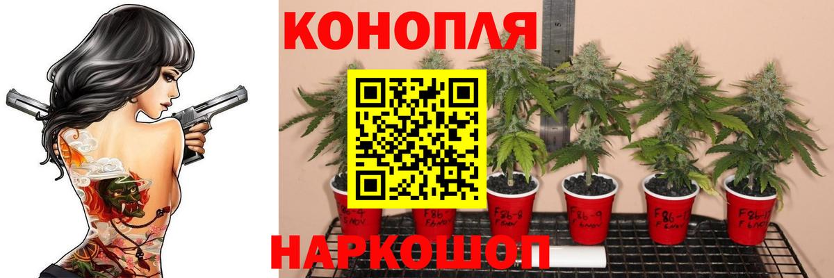 Бошки Шишки White Widow  Вход с VPN  Марихуана MAZAR  Строитель 